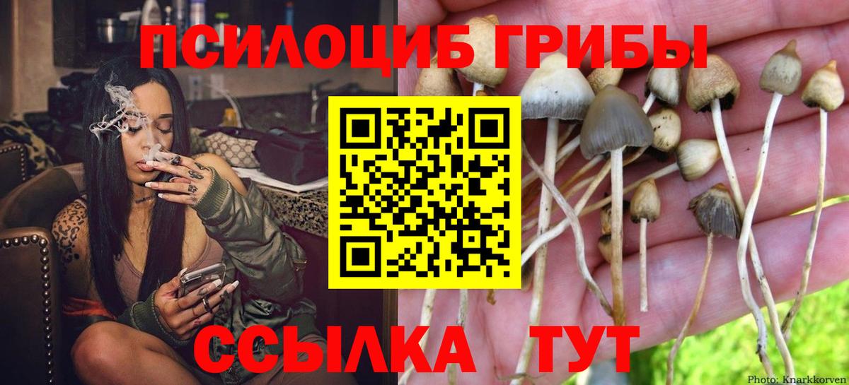 Галлюциногенные грибы ЛСД Аша