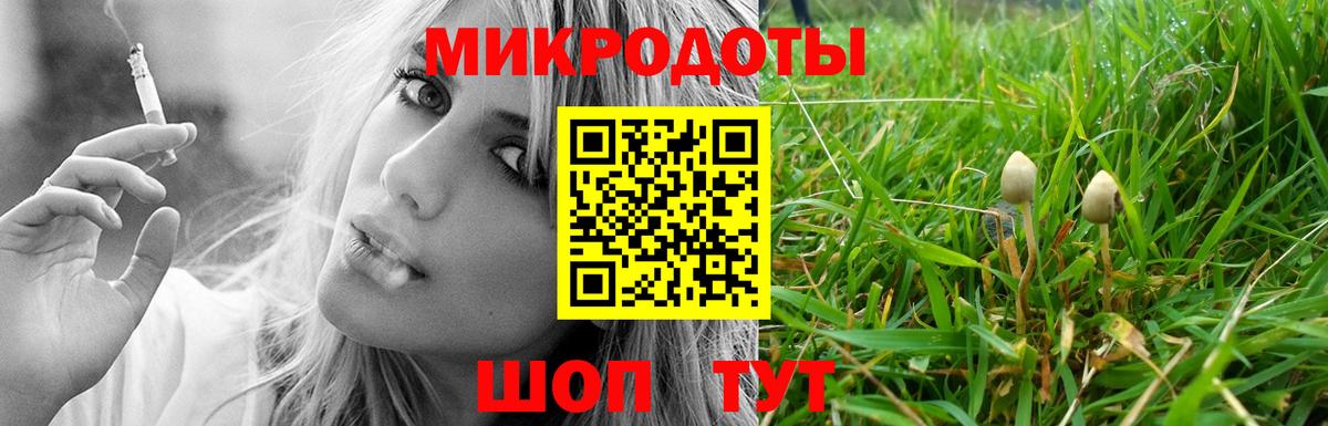 Аша  Псилоцибиновые грибы мицелий  Вход с VPN  Псилоцибиновые грибы Psilocybine cubensis 